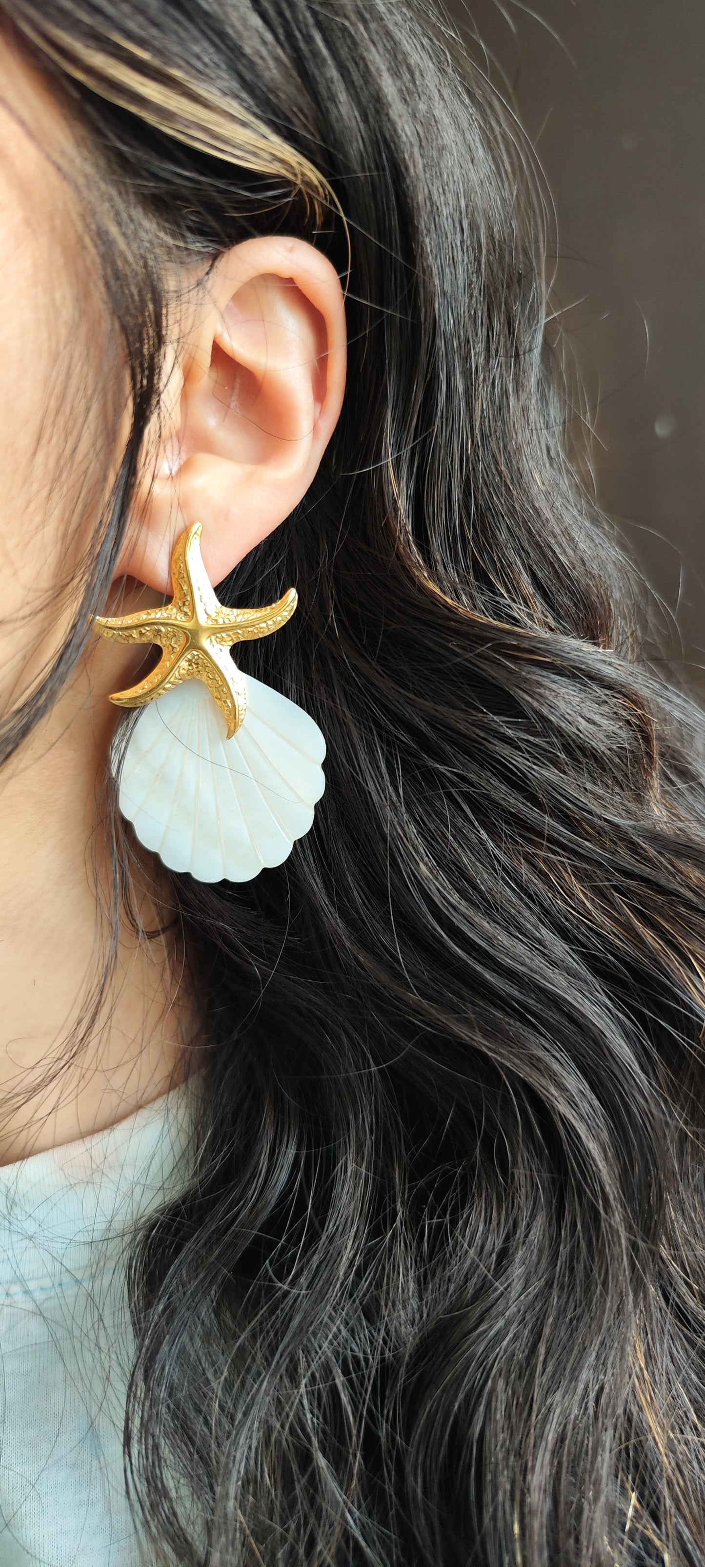 shell 🐚 y estrella de mar 🌊