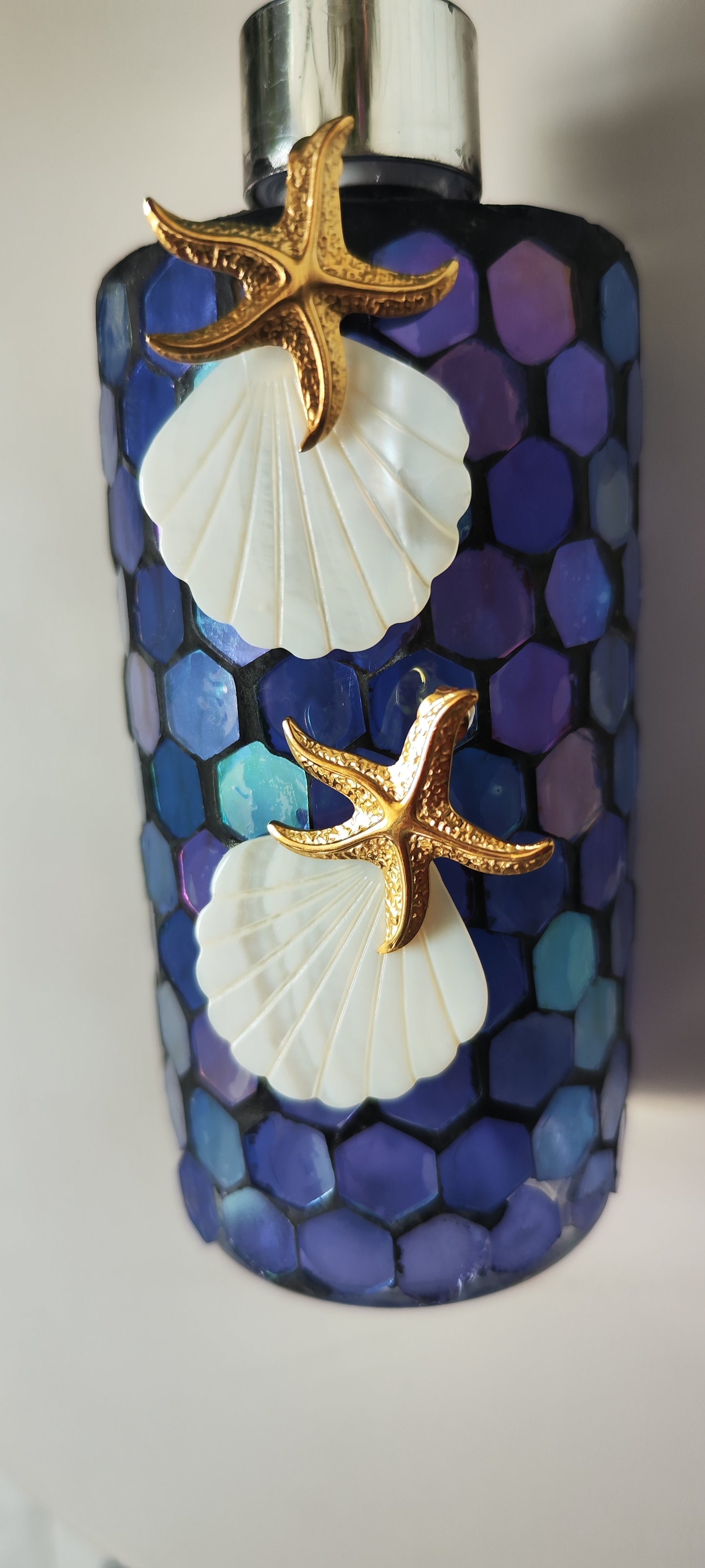 shell 🐚 y estrella de mar 🌊