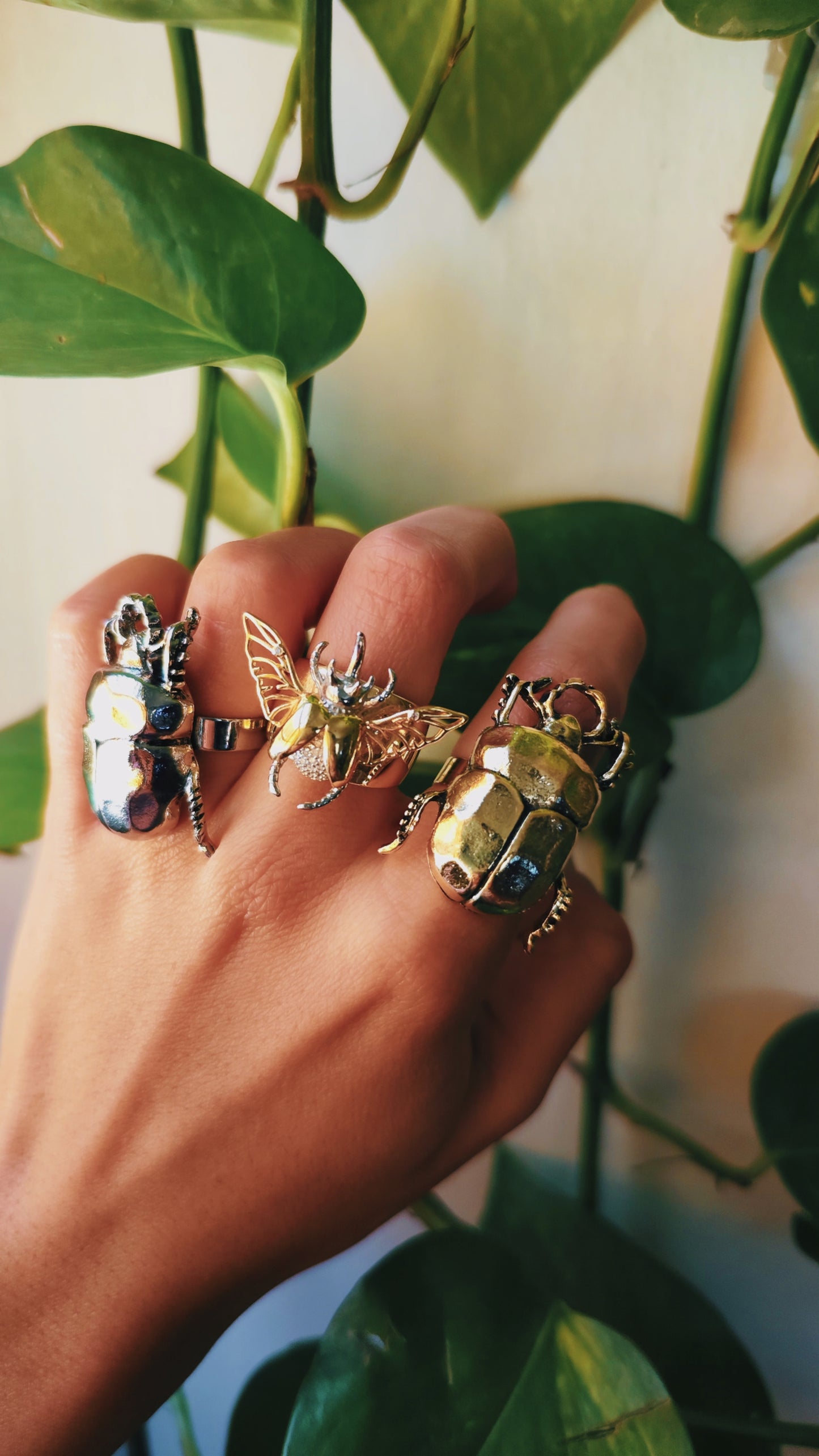 Anillo escarabajo