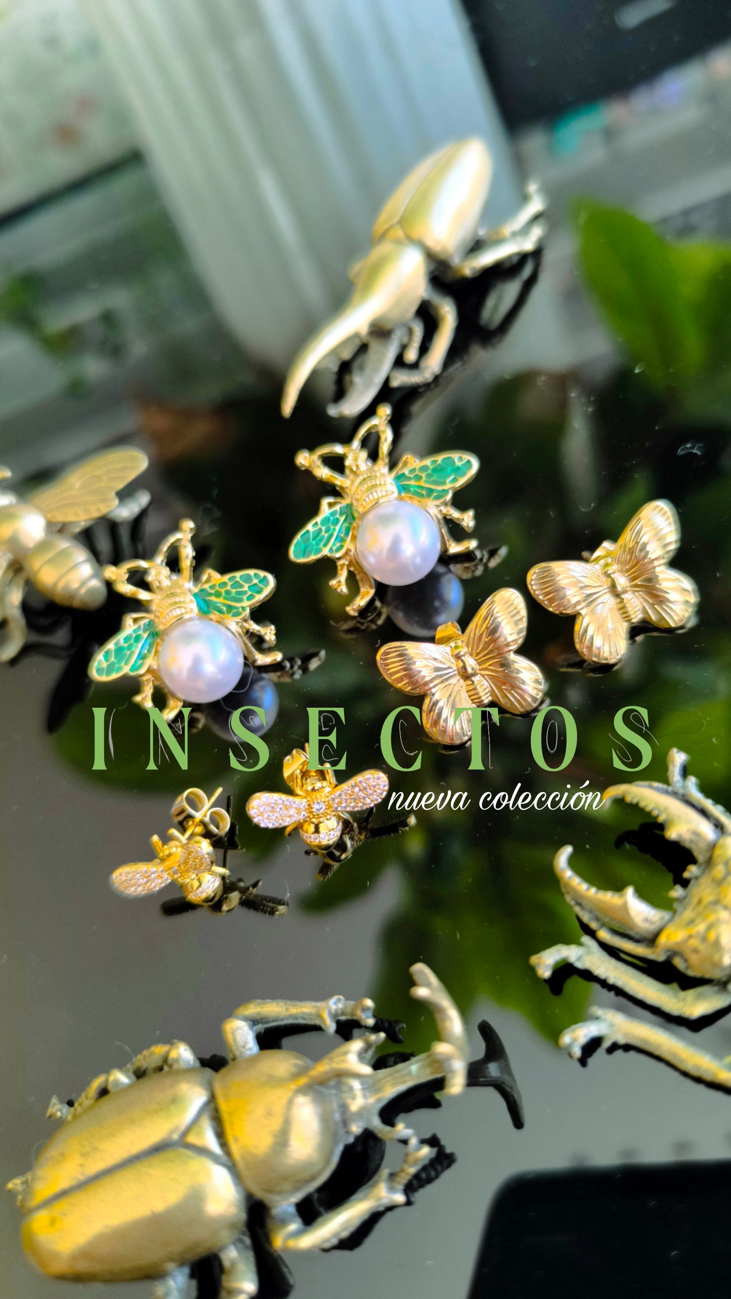 Colección INSECTOS