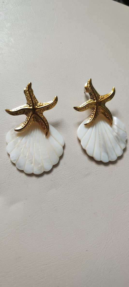 shell 🐚 y estrella de mar 🌊