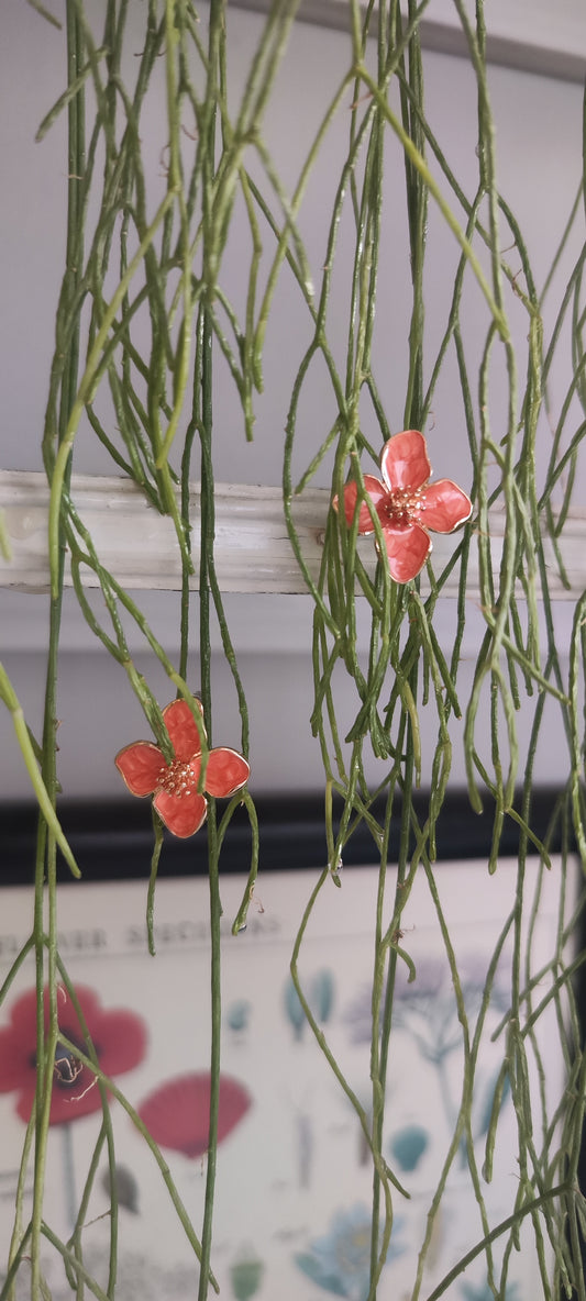 Flores naranjas🏵️🧡