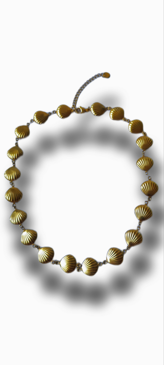 conchita collar🐚