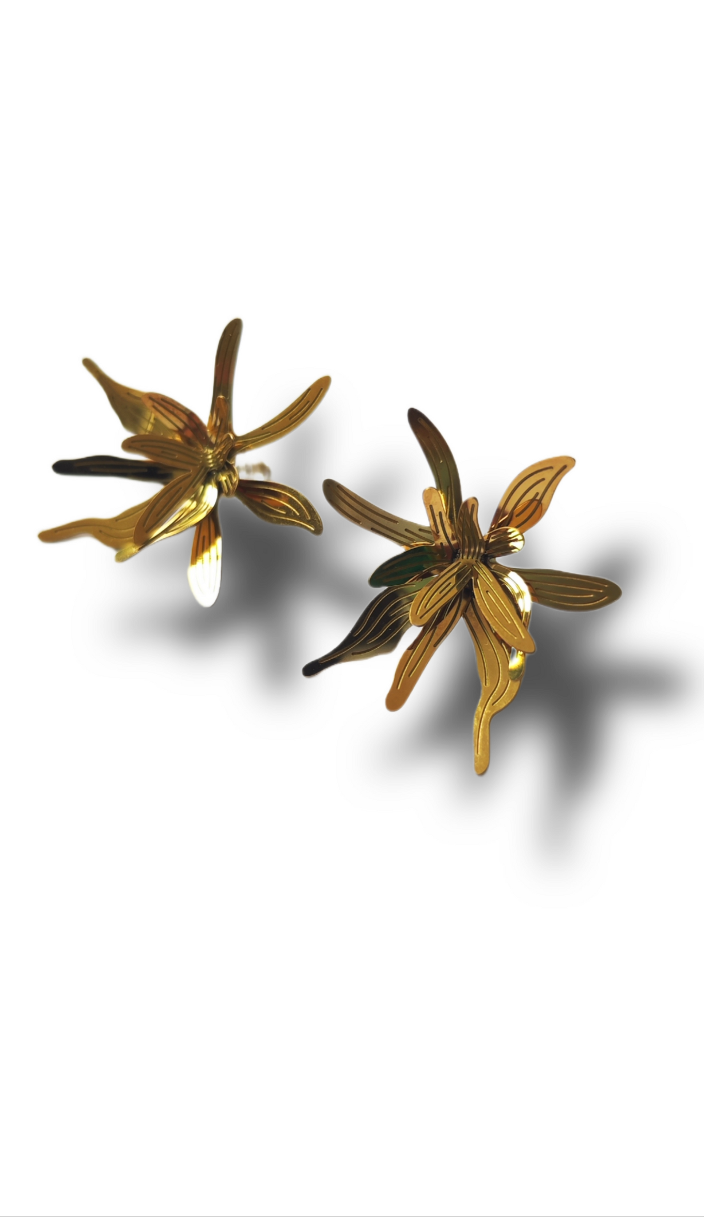 Bromelias