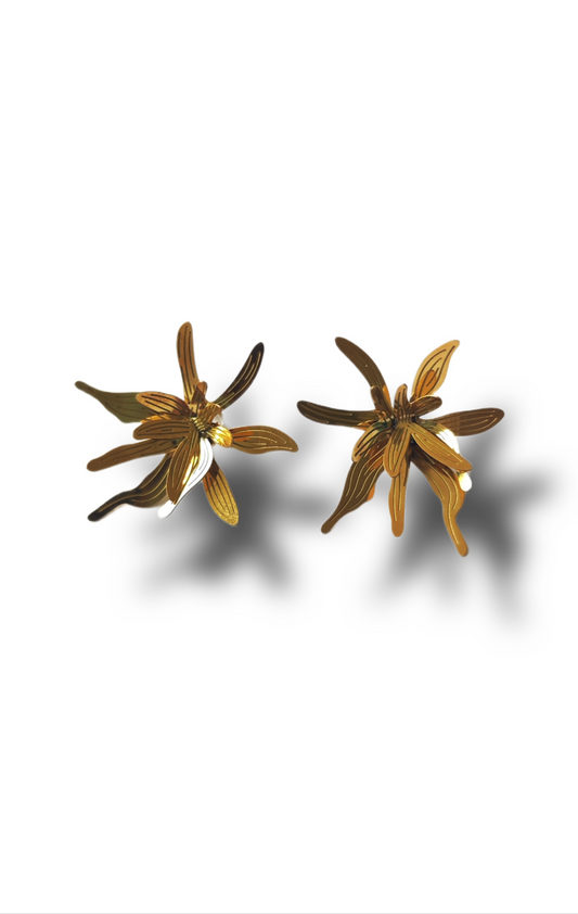 Bromelias