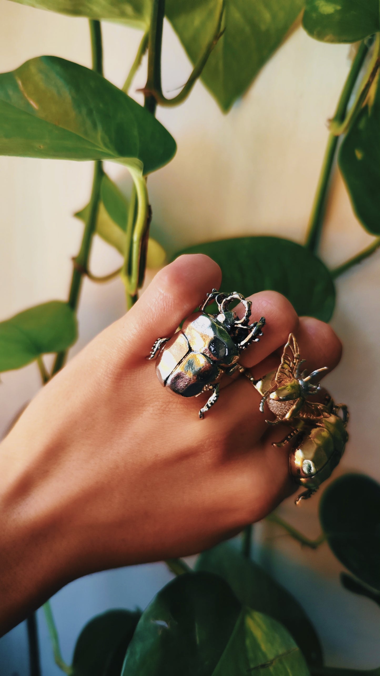 Anillo escarabajo 🪲