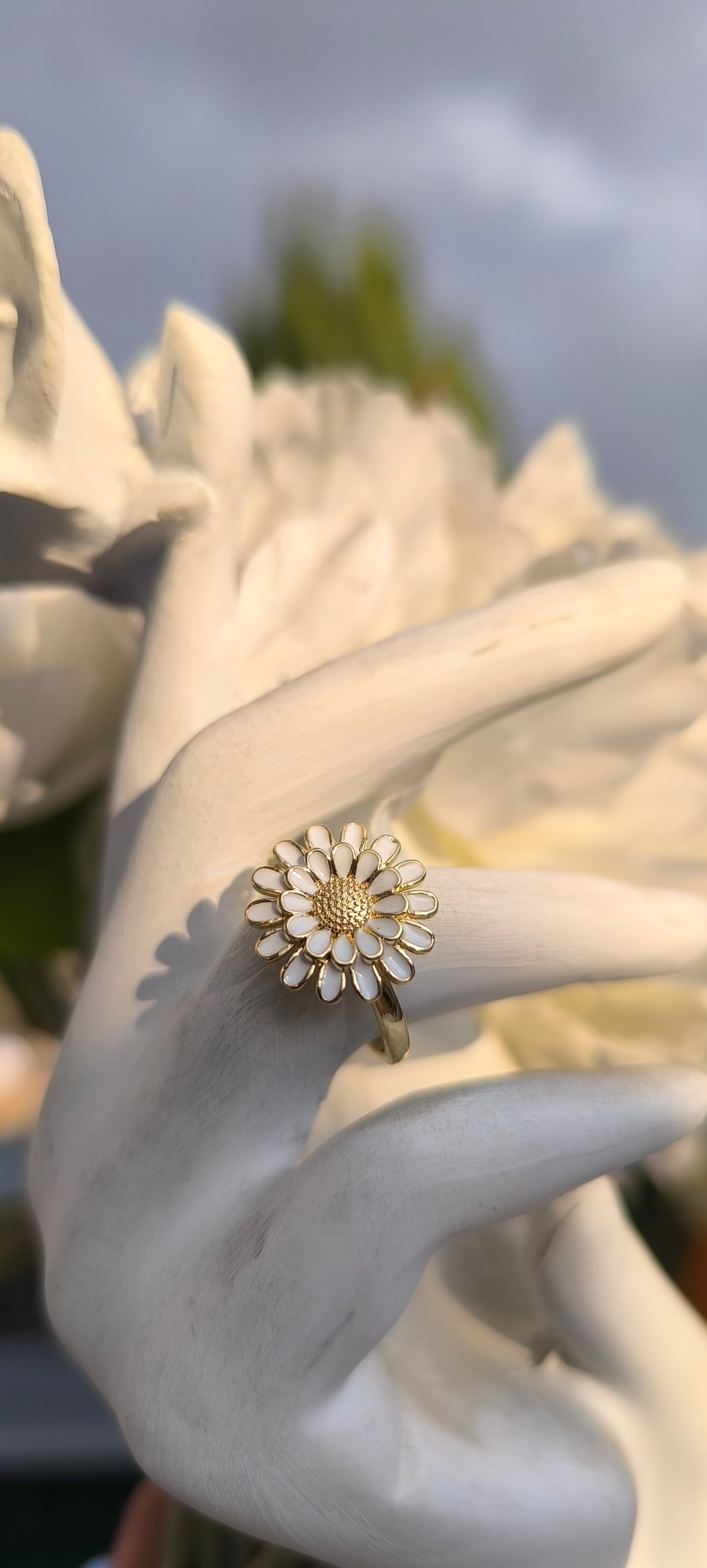 Anillo margarita🌼